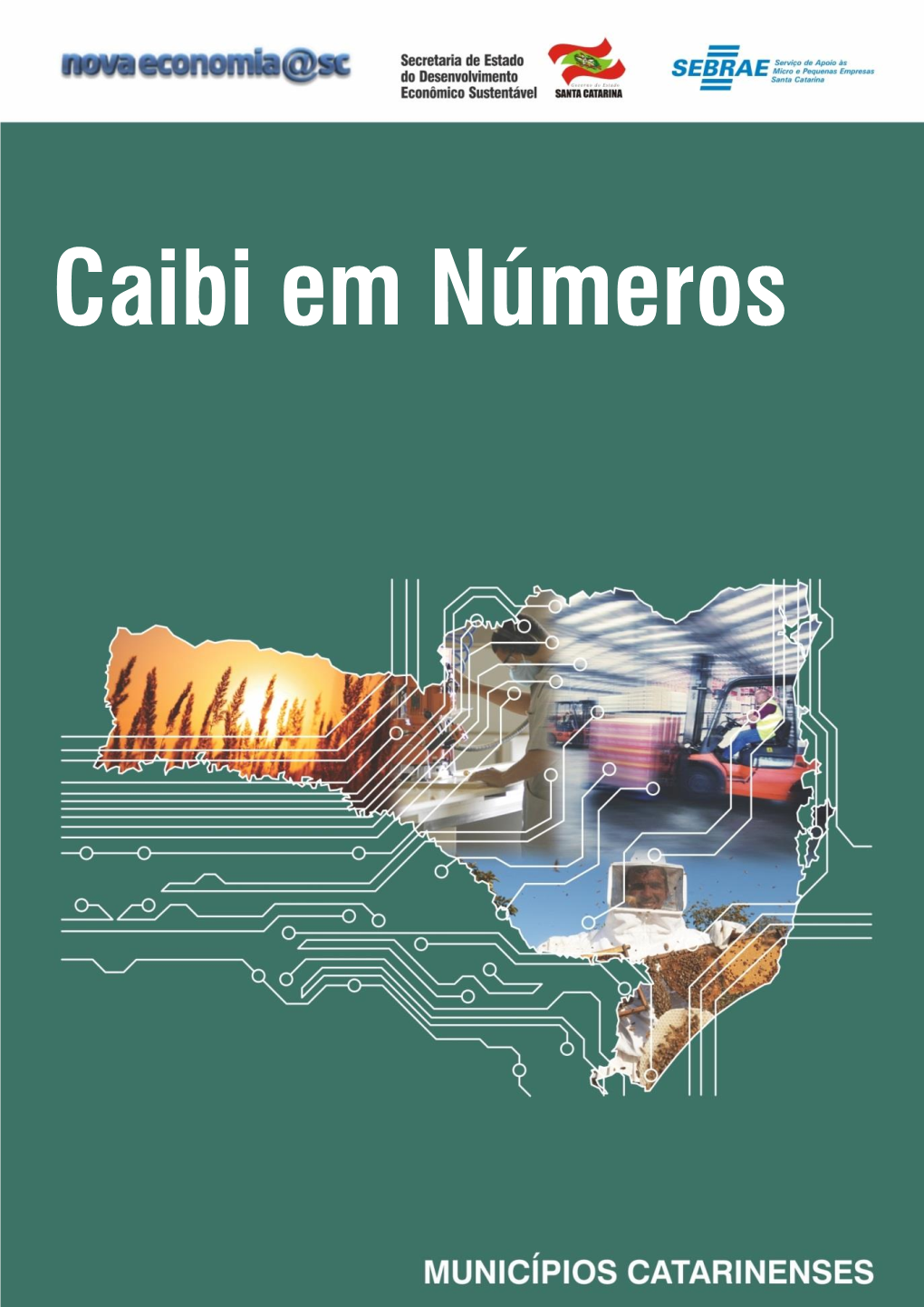 Caibi Em Números