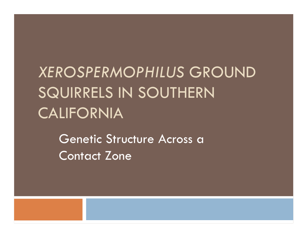 XEROSPERMOPHILUS GROUND SQUIRRELS in SOUTHERN CALIFORNIA Genetic Structure Across a Contact Zone Those Responsible