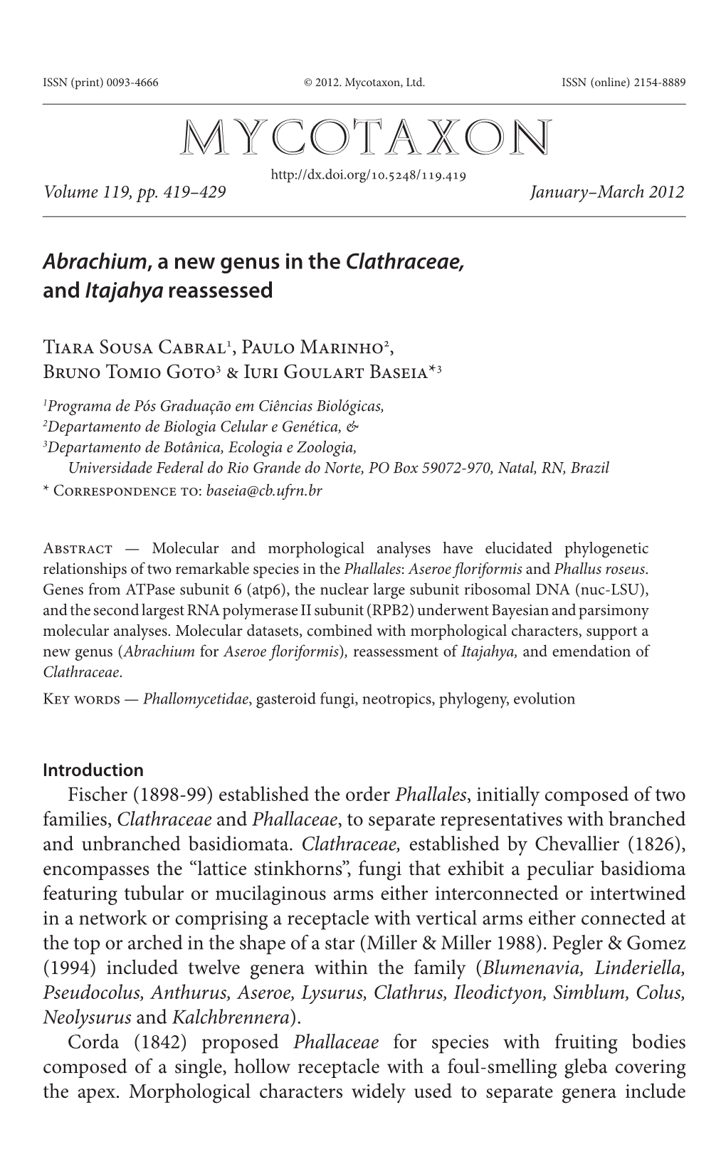 <I>Abrachium</I>, a New Genus in the <I>Clathraceae