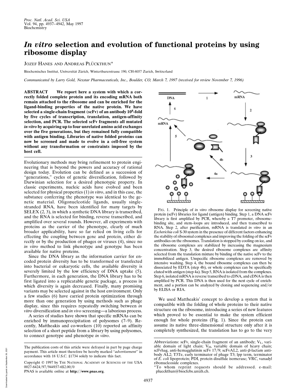 In Vitro Selection and Evolution of Functional Proteins by Using Ribosome Display