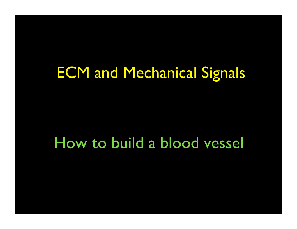 Cre-Lox Basics - Generating Knockout Mice