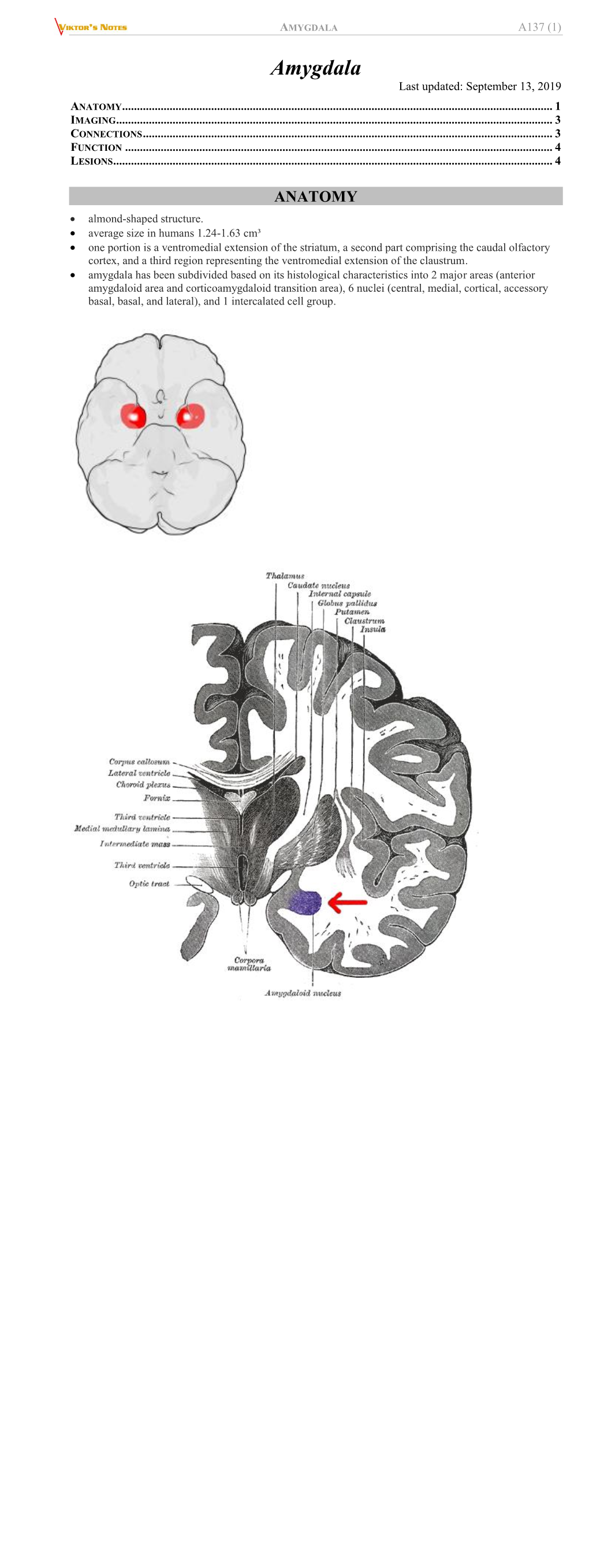 A137. Amygdala.Pdf