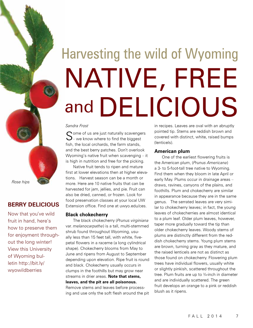 Harvesting the Wild of Wyoming NATIVE, FREE and DELICIOUS Sandra Frost in Recipes