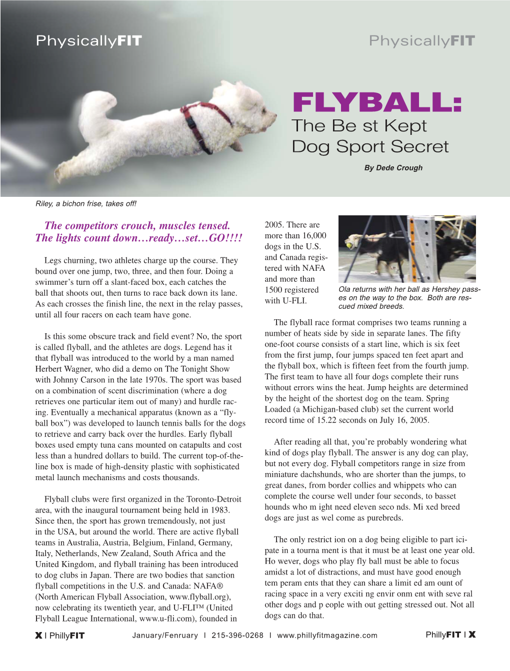 Flyball: the Best Kept Dog Sport Secret