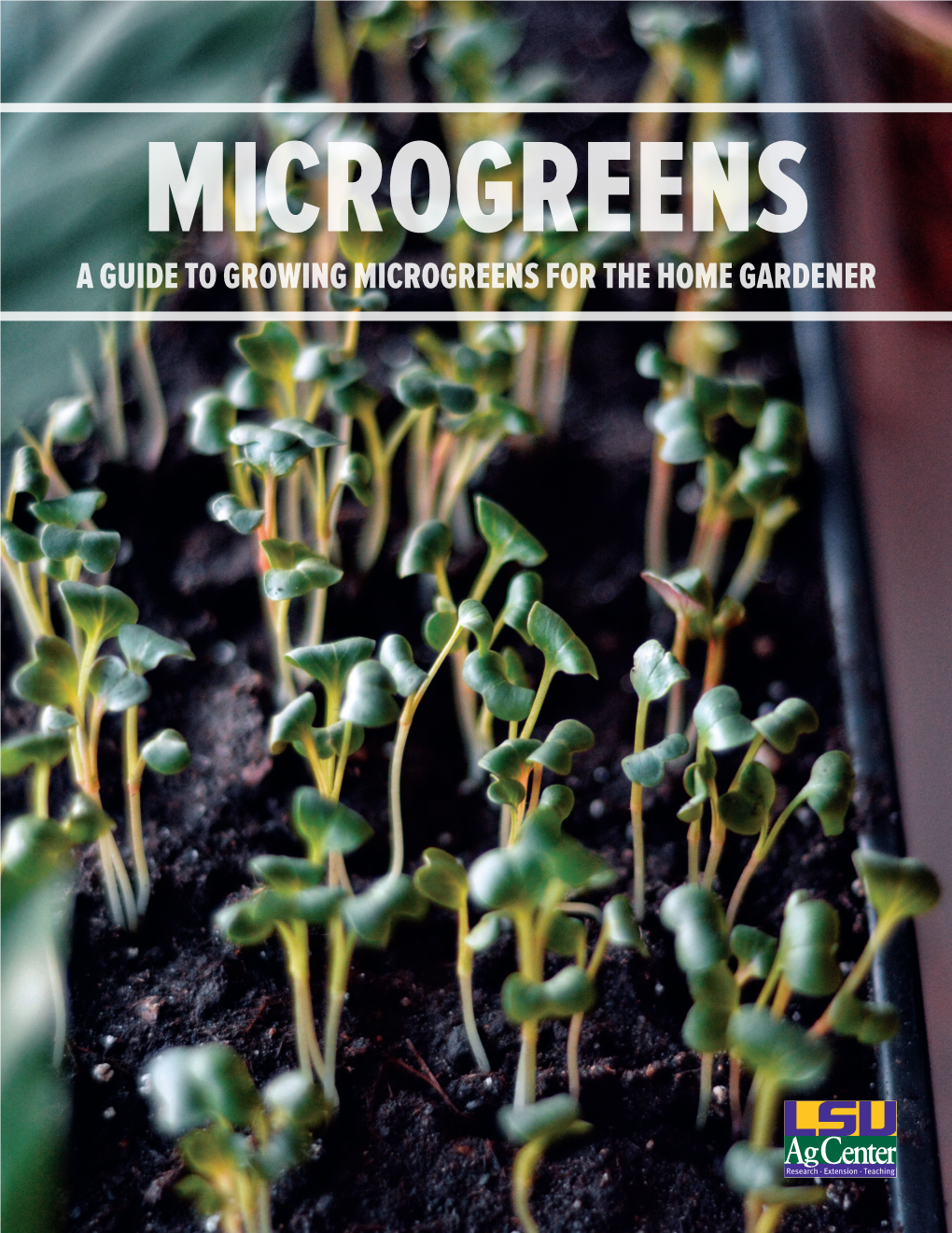 Microgreens a Guide to Growing Microgreens for the Home Gardener Contents
