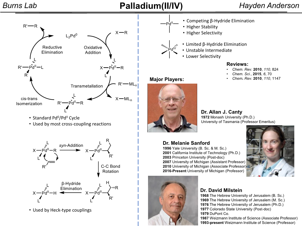 Palladium(II/IV) Hayden Anderson