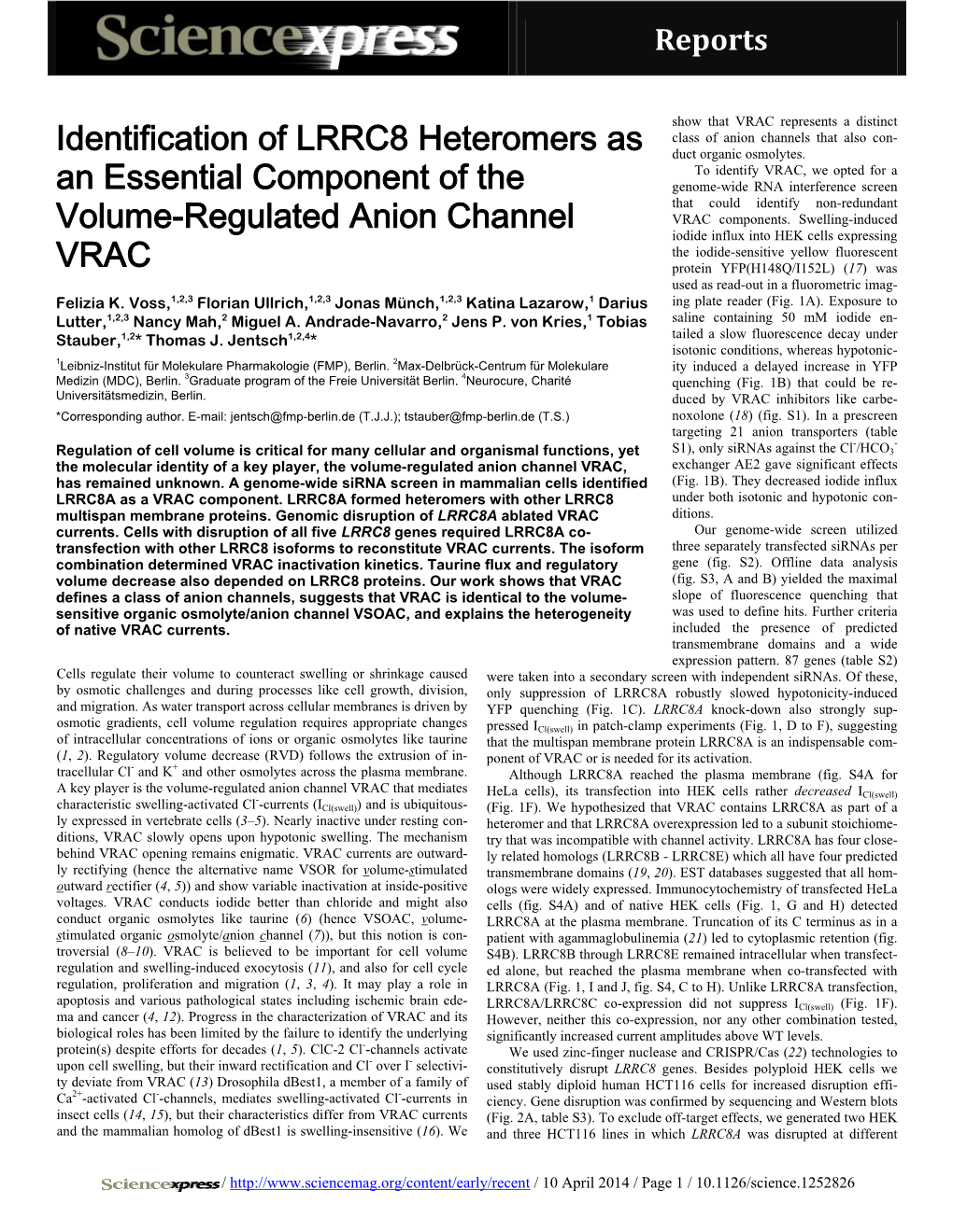 Identification of LRRC8 Heteromers As an Essential Component of The