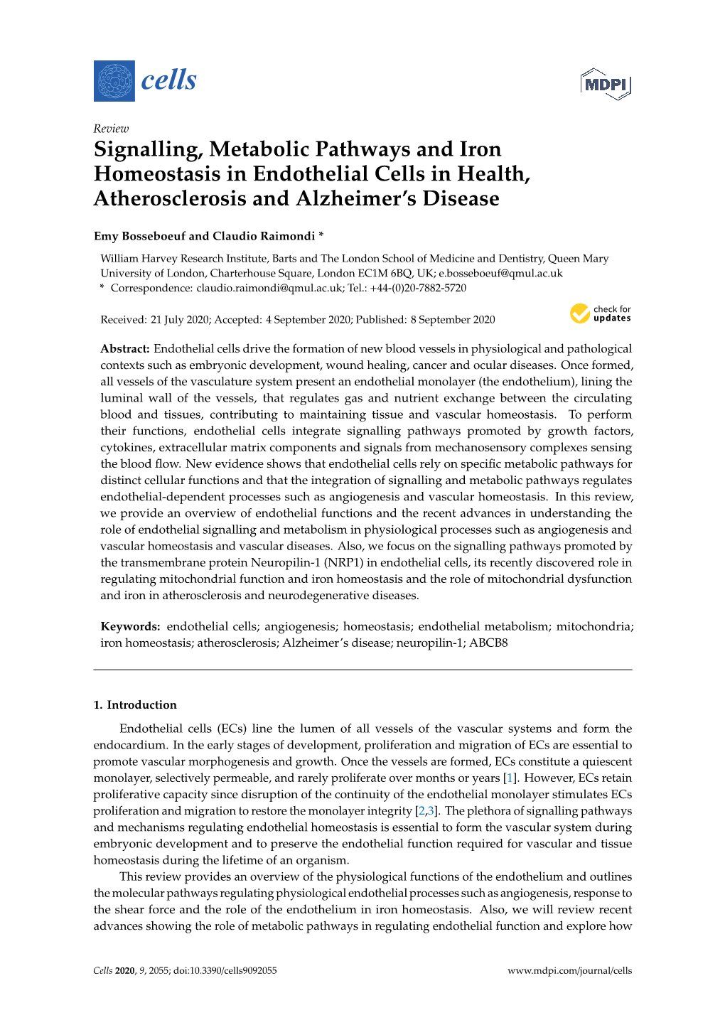 Signalling, Metabolic Pathways and Iron Homeostasis in Endothelial Cells in Health, Atherosclerosis and Alzheimer’S Disease