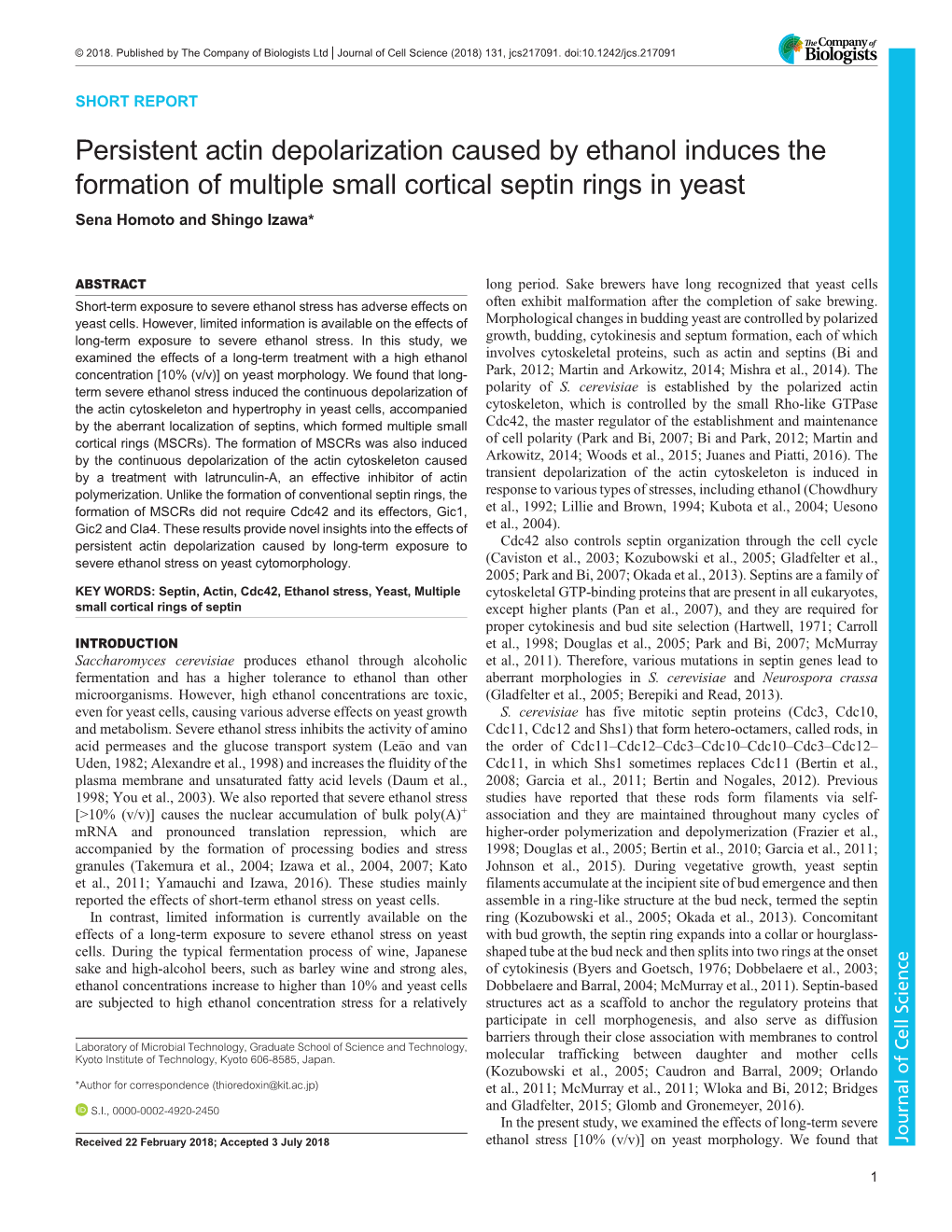 Persistent Actin Depolarization Caused by Ethanol Induces the Formation of Multiple Small Cortical Septin Rings in Yeast Sena Homoto and Shingo Izawa*