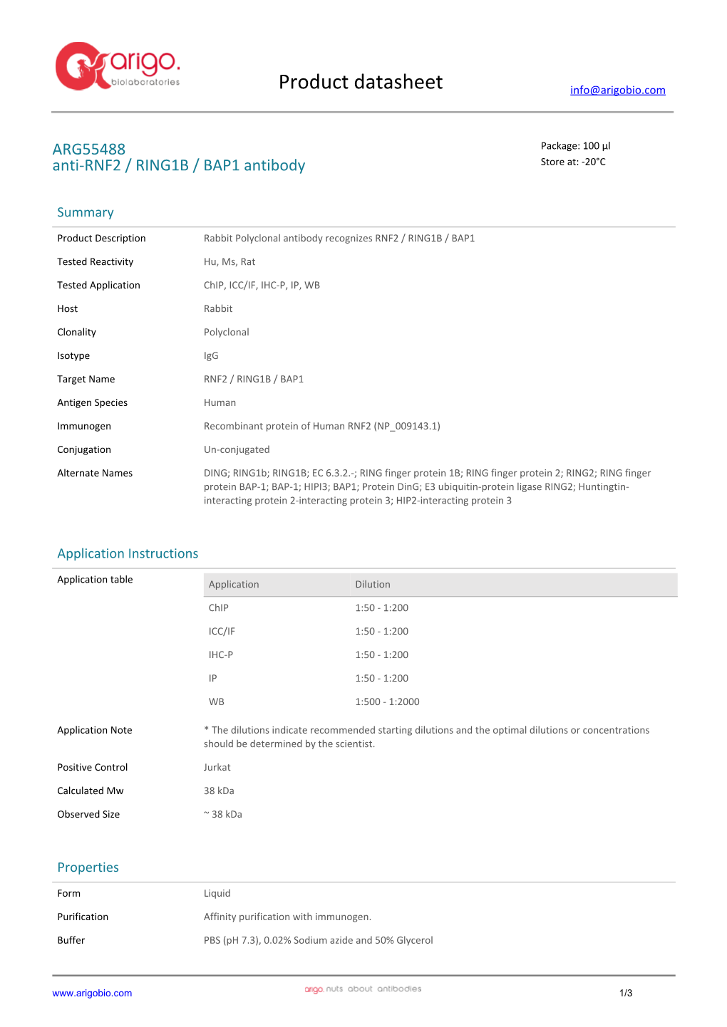 Anti-RNF2 / RING1B / BAP1 Antibody (ARG55488)