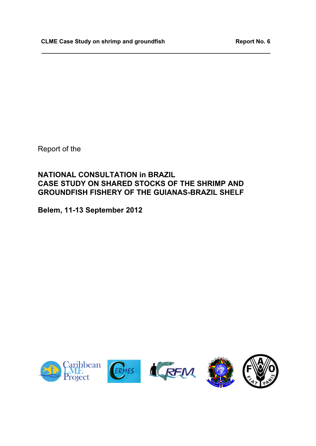 Report of the NATIONAL CONSULTATION in BRAZIL CASE STUDY