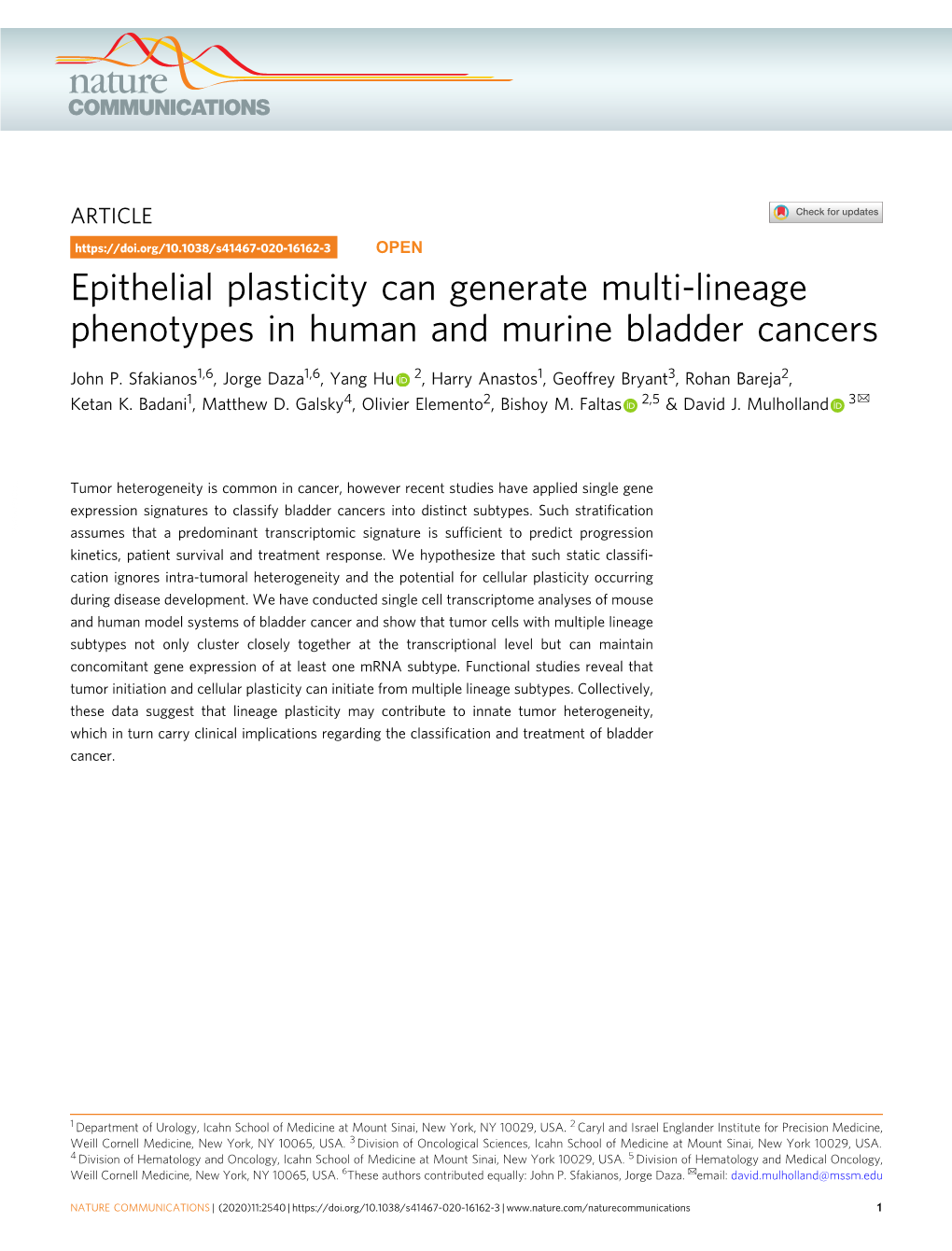 Epithelial Plasticity Can Generate Multi-Lineage Phenotypes in Human and Murine Bladder Cancers
