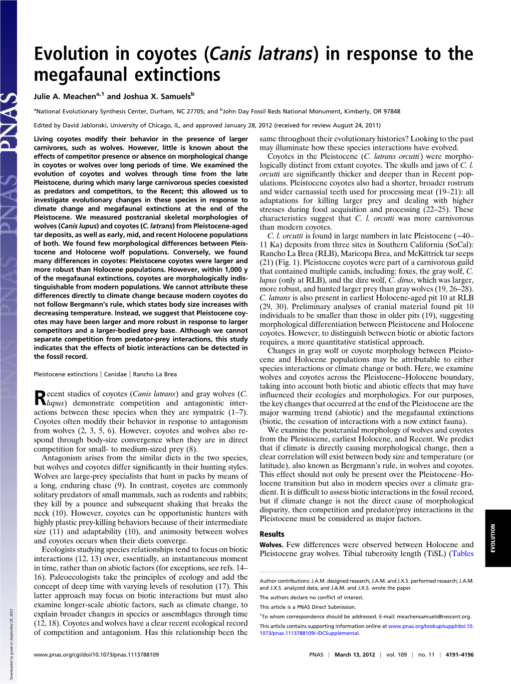 Evolution in Coyotes (Canis Latrans) in Response to the Megafaunal Extinctions