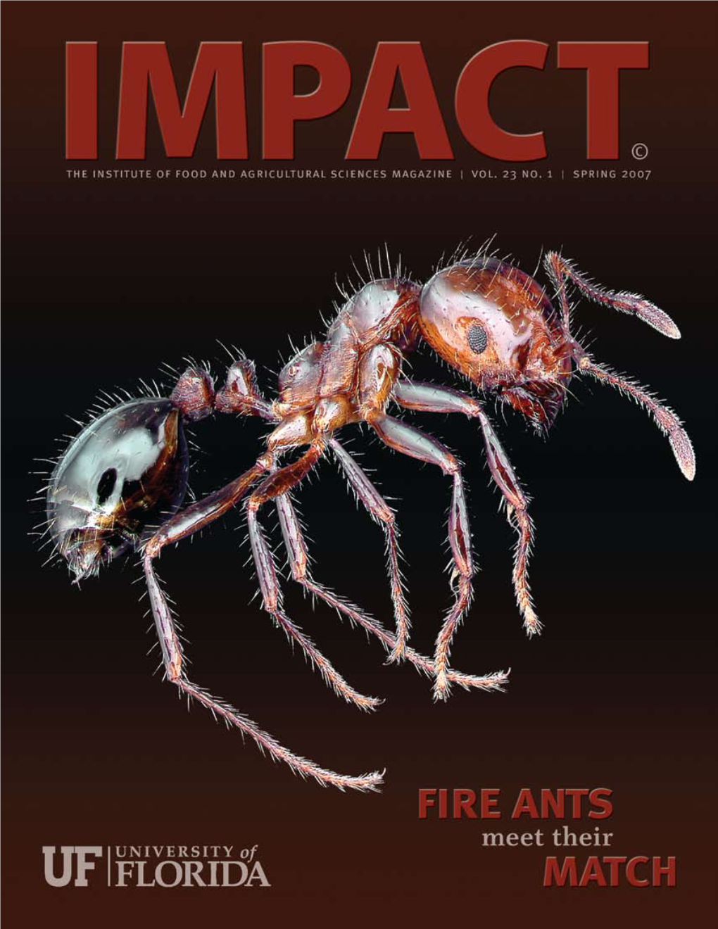 IMPACT | Spring 2007 1