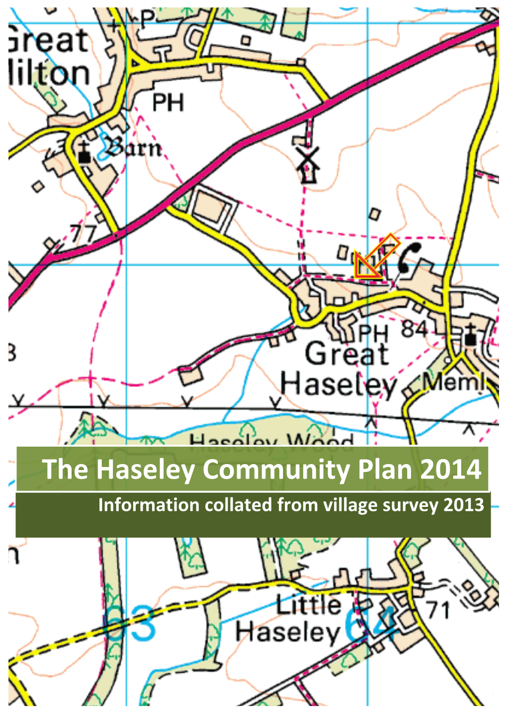 The Haseley Community Plan 2014 Information Collated from Village Survey 2013