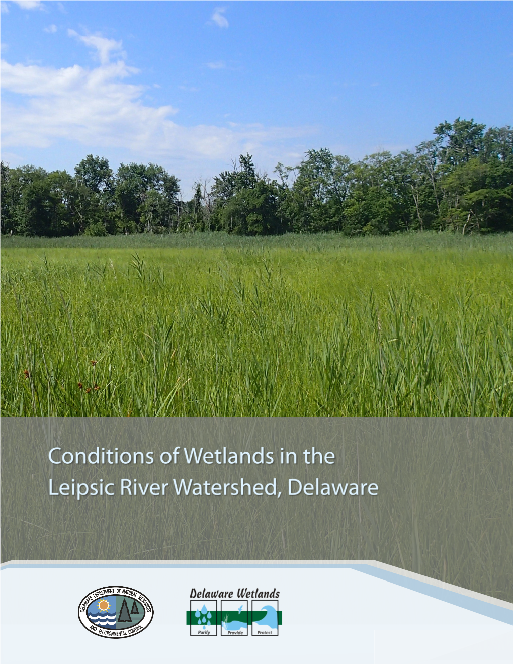 Leipsic Watershed Report.Pdf