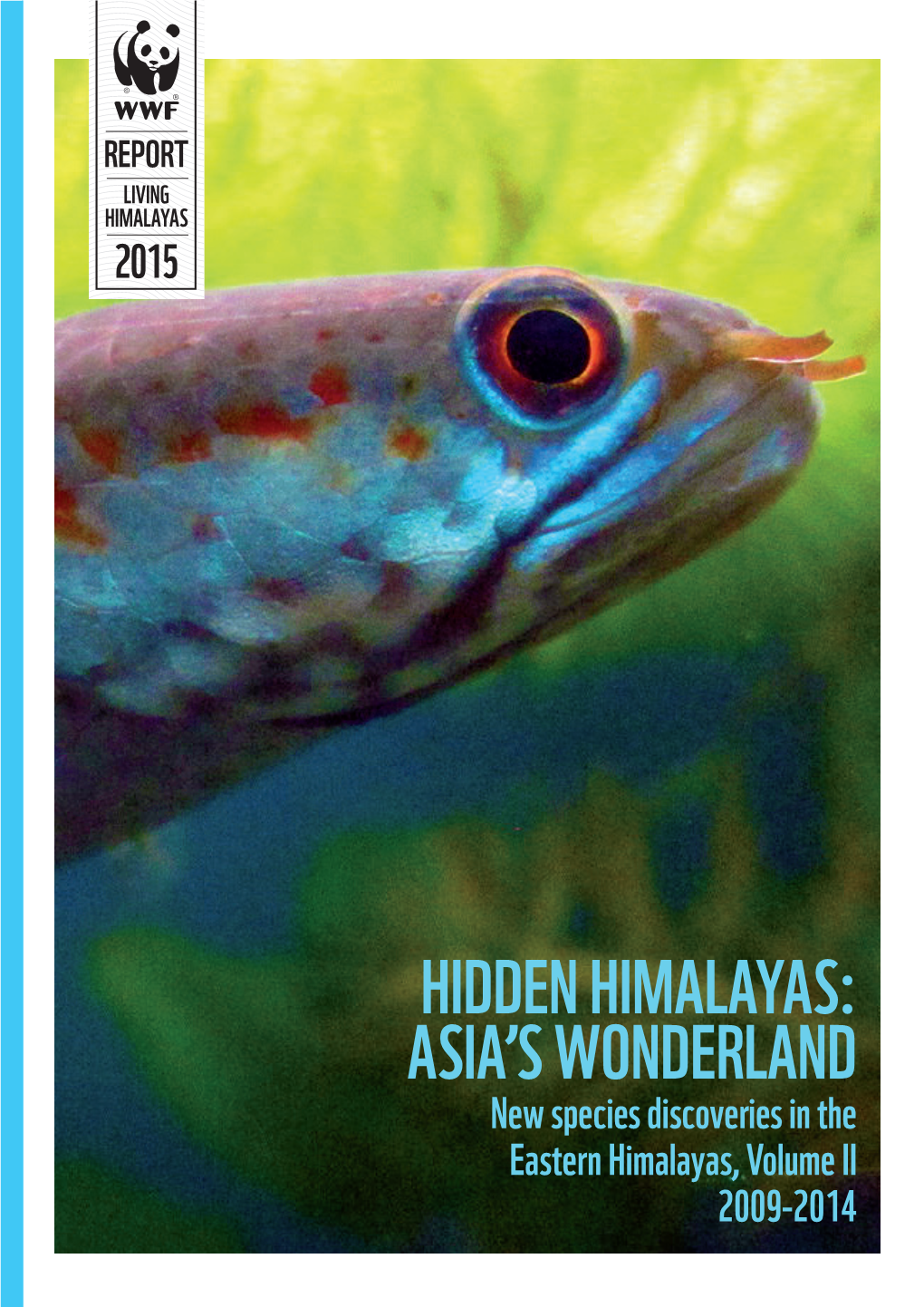 Hidden Himalayas: Asia's Wonderland