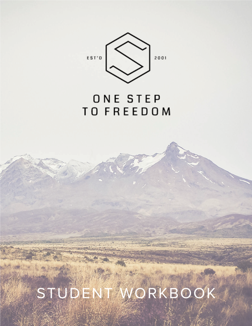 One Step to Freedom Curriculum Is a Tool That God Uses to Bring Victory