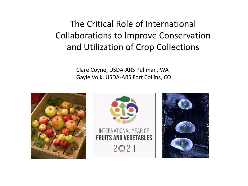 Gayle Volk – the Critical Role of International Collaborations To