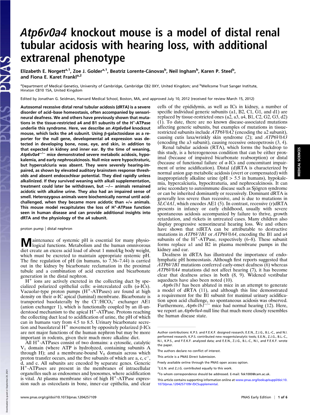 Atp6v0a4 Knockout Mouse Is a Model of Distal Renal Tubular Acidosis with Hearing Loss, with Additional Extrarenal Phenotype