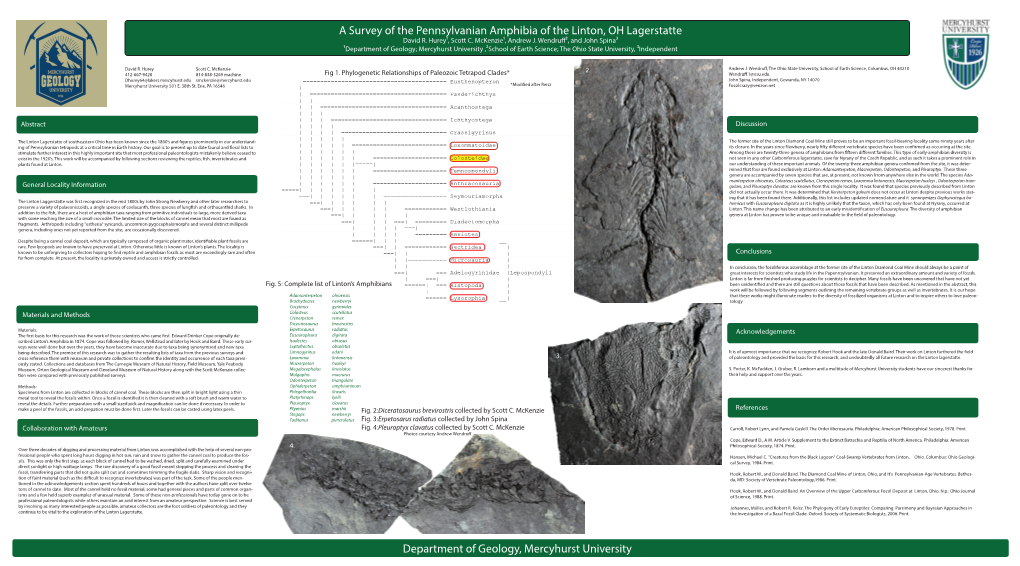 A Survey of the Pennsylvanian Amphibia of the Linton, OH Lagerstatte David R