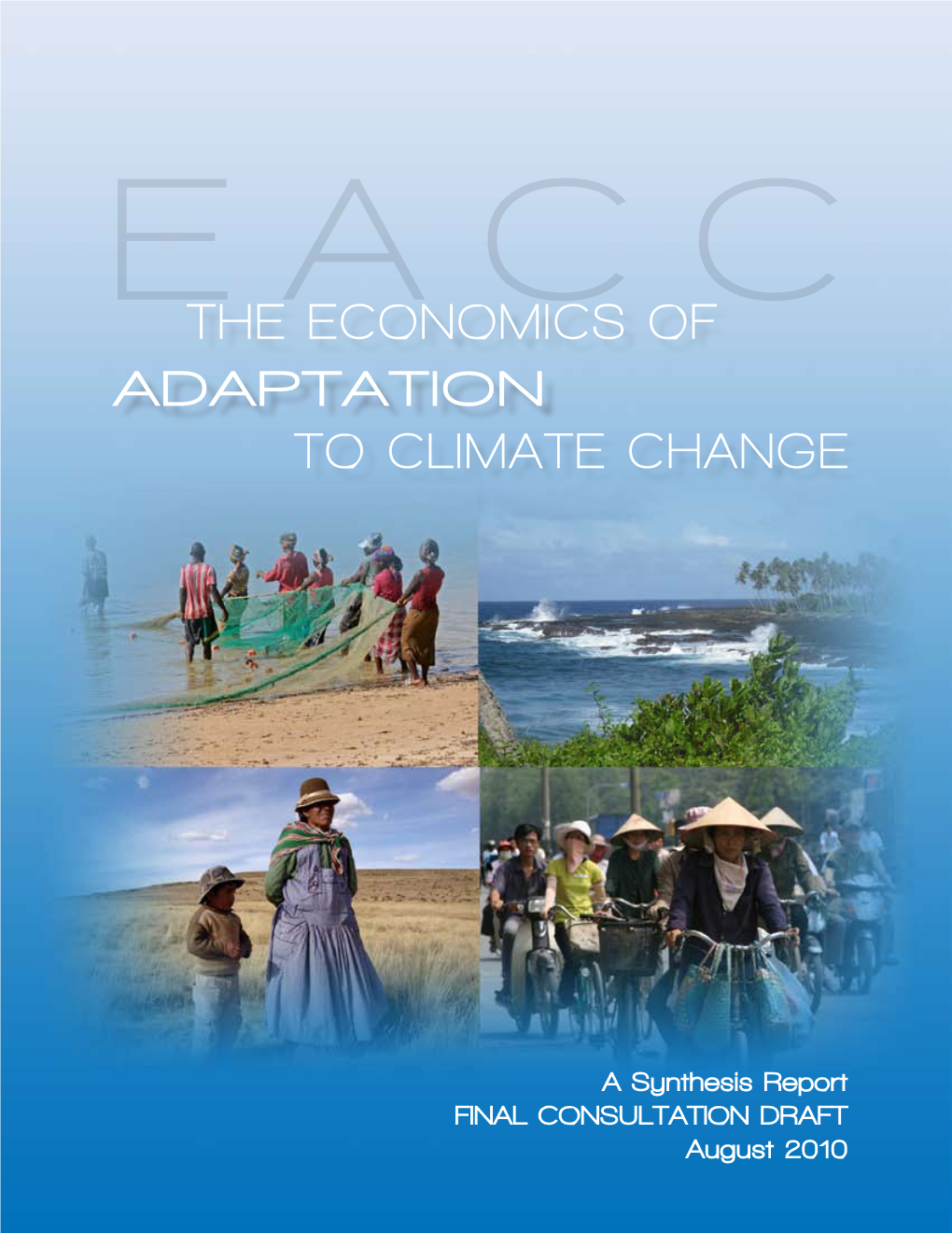 The Economics of Adaptation to Climate Change