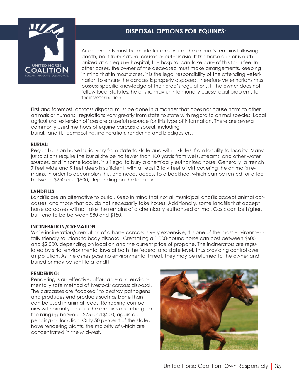 Disposal Options for Equines