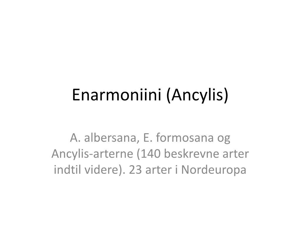 Enarmoniini (Ancylis)