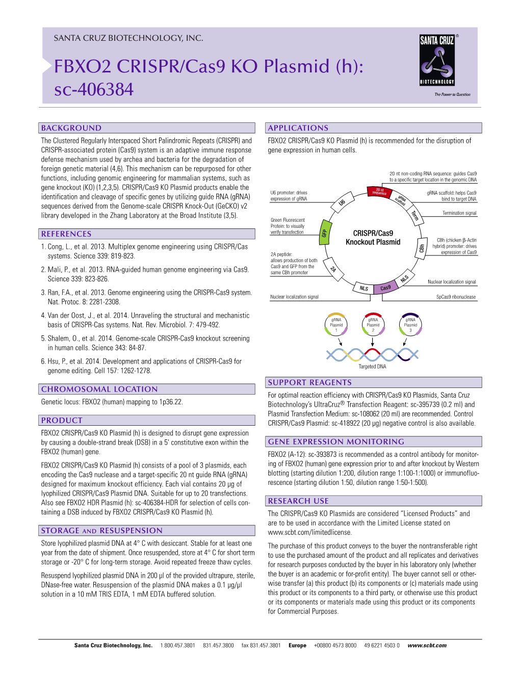 FBXO2 CRISPR/Cas9 KO Plasmid (H): Sc-406384
