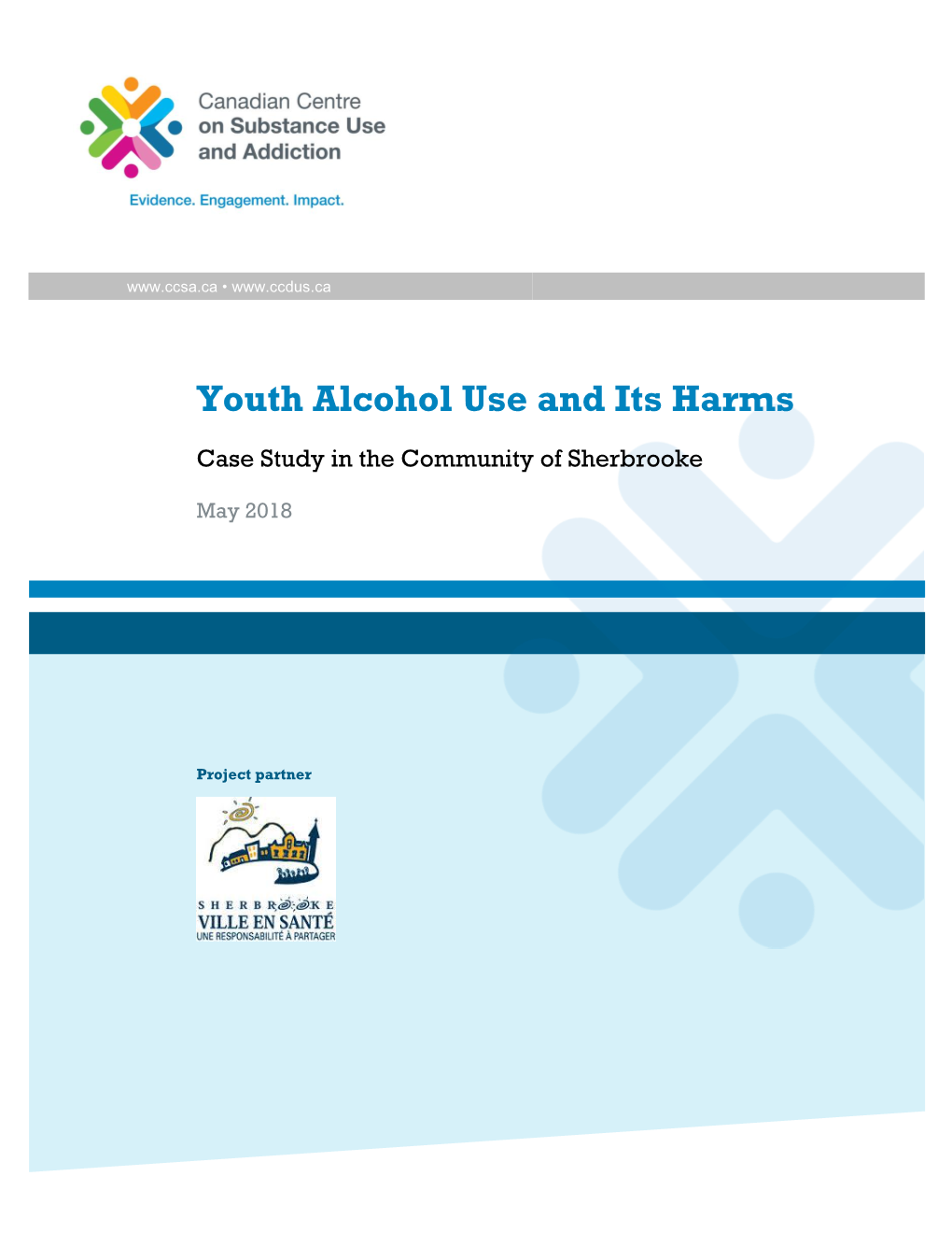 Youth Alcohol Use and Its Harms: Case Study in the Community of Sherbrooke