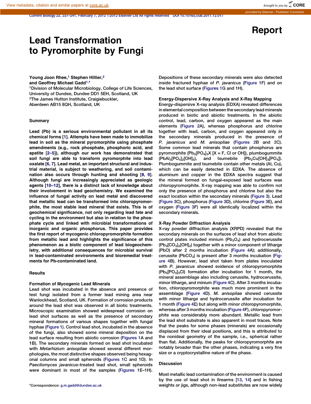 Lead Transformation to Pyromorphite by Fungi