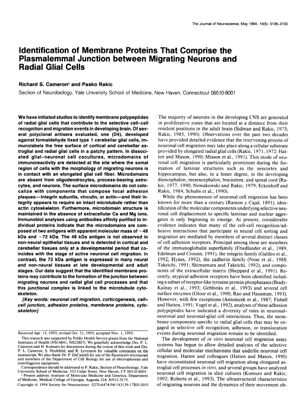 Identification of Membrane Proteins That Comprise the Plasmalemmal Junction Between Migrating Neurons and Radial Glial Cells