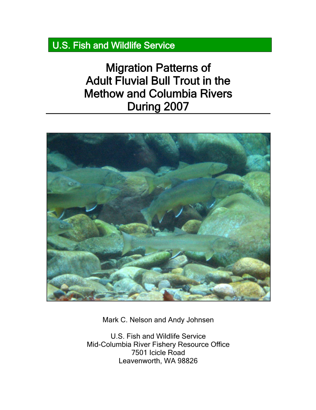 Migration Patterns of Adult Fluvial Bull Trout in the Methow and Columbia Rivers During 2007