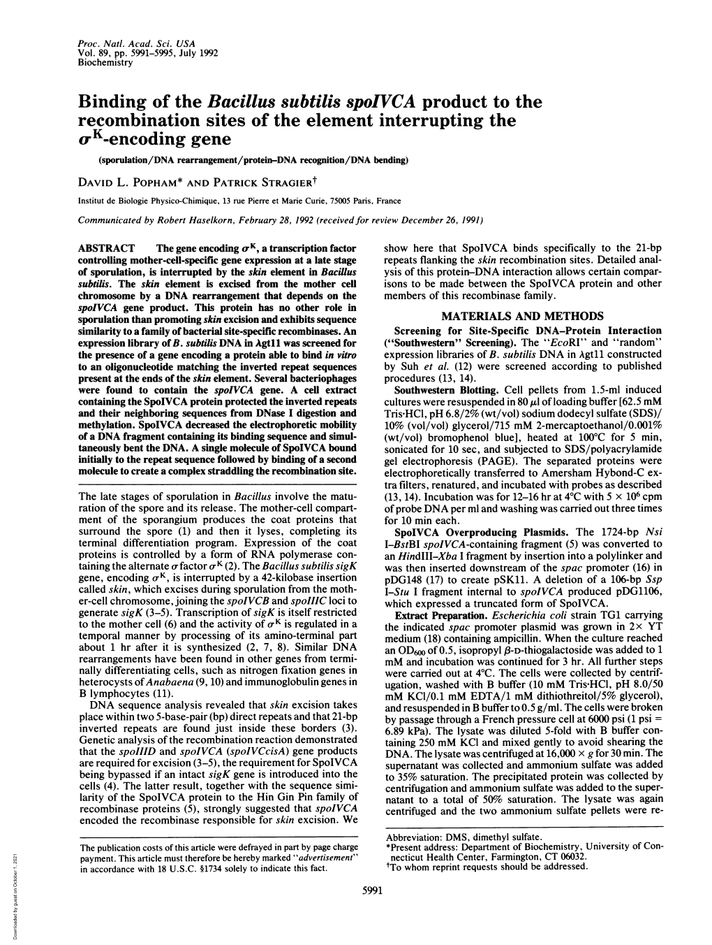 KK-Encoding Gene