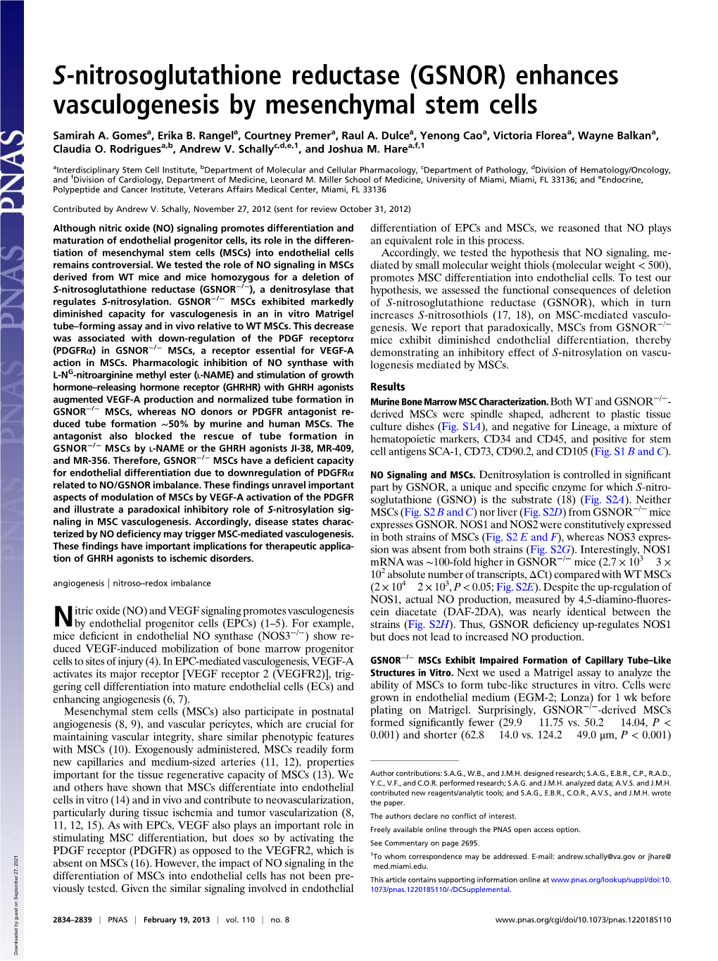 (GSNOR) Enhances Vasculogenesis by Mesenchymal Stem Cells