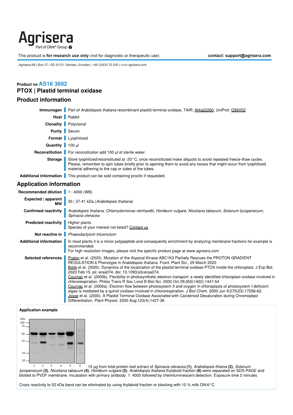 PTOX | Plastid Terminal Oxidase Product Information Application