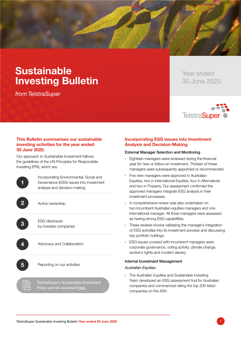 Sustainable Investing Bulletin 30 June 2020