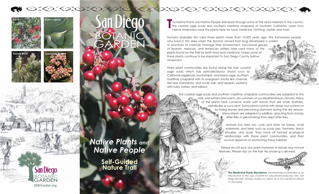 Native Plants and Native People