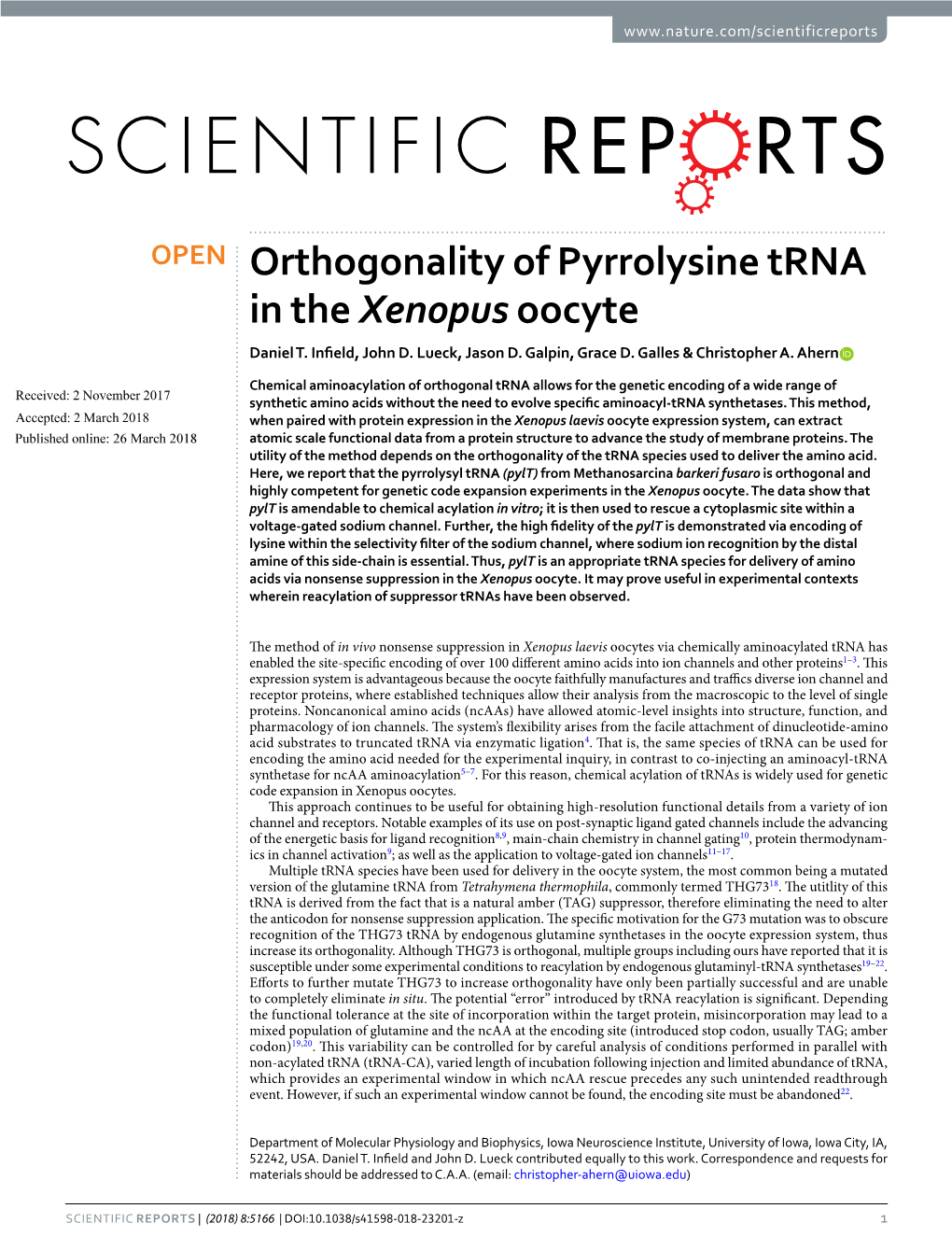 Orthogonality of Pyrrolysine Trna in the Xenopus Oocyte Daniel T