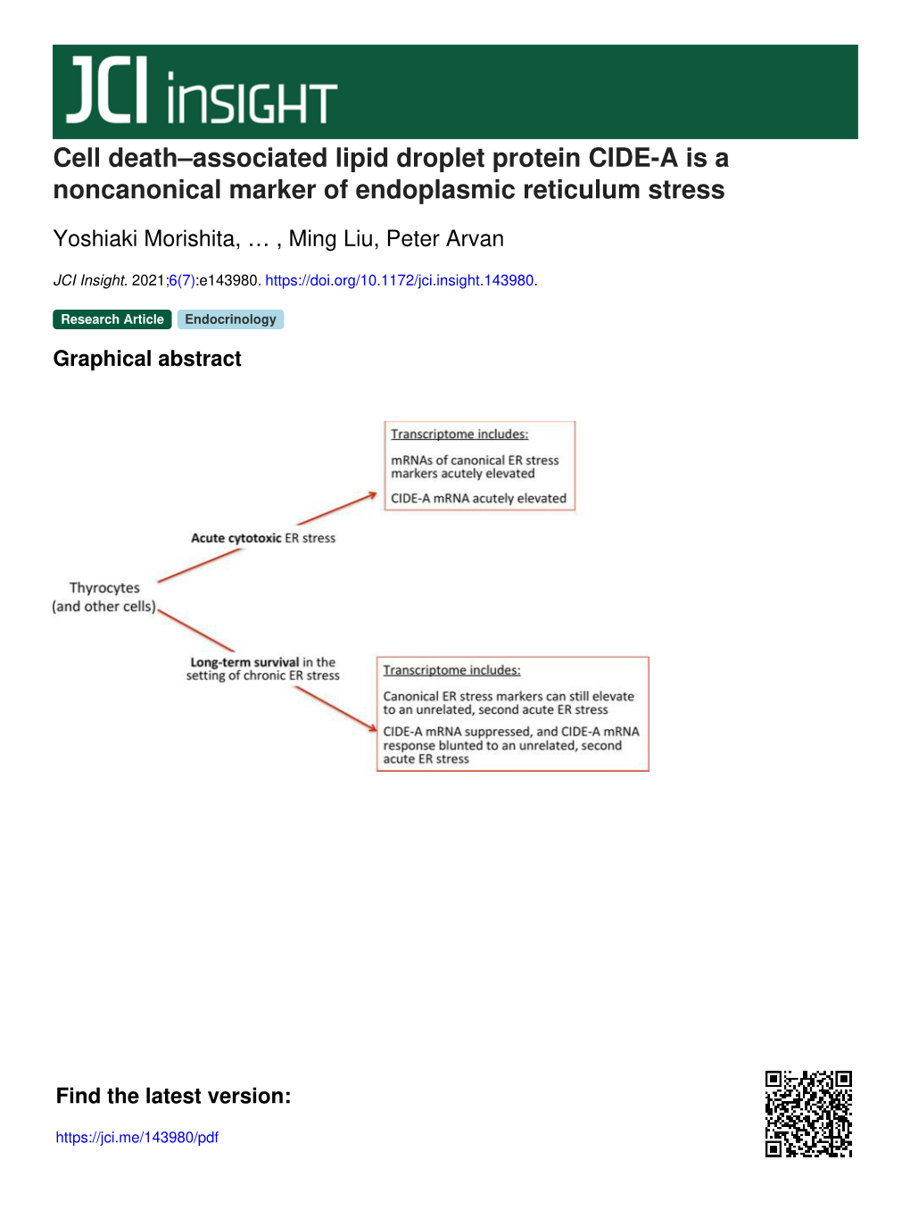 Cell Death–Associated Lipid Droplet Protein CIDE-A Is a Noncanonical Marker of Endoplasmic Reticulum Stress