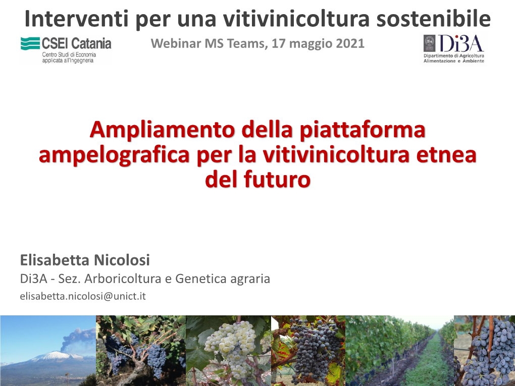 Vitigni Autoctoni Produzioni Etna DOC ▪I Vitigni Reliquia/Gioiello Nuove Possibili Produzioni Enologiche