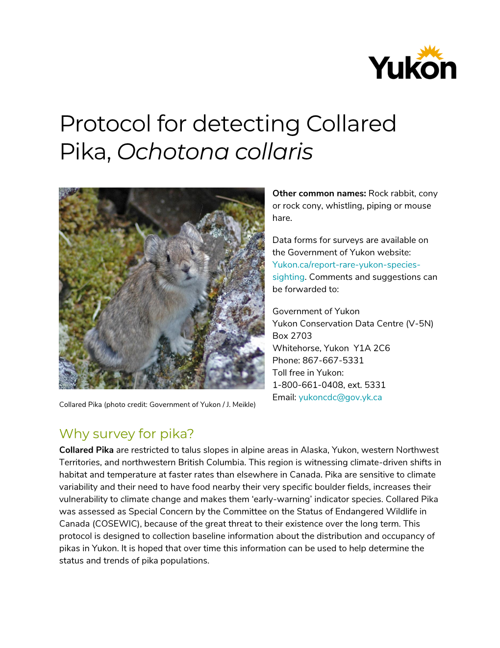 Protocol for Detecting Collared Pika, Ochotona Collaris