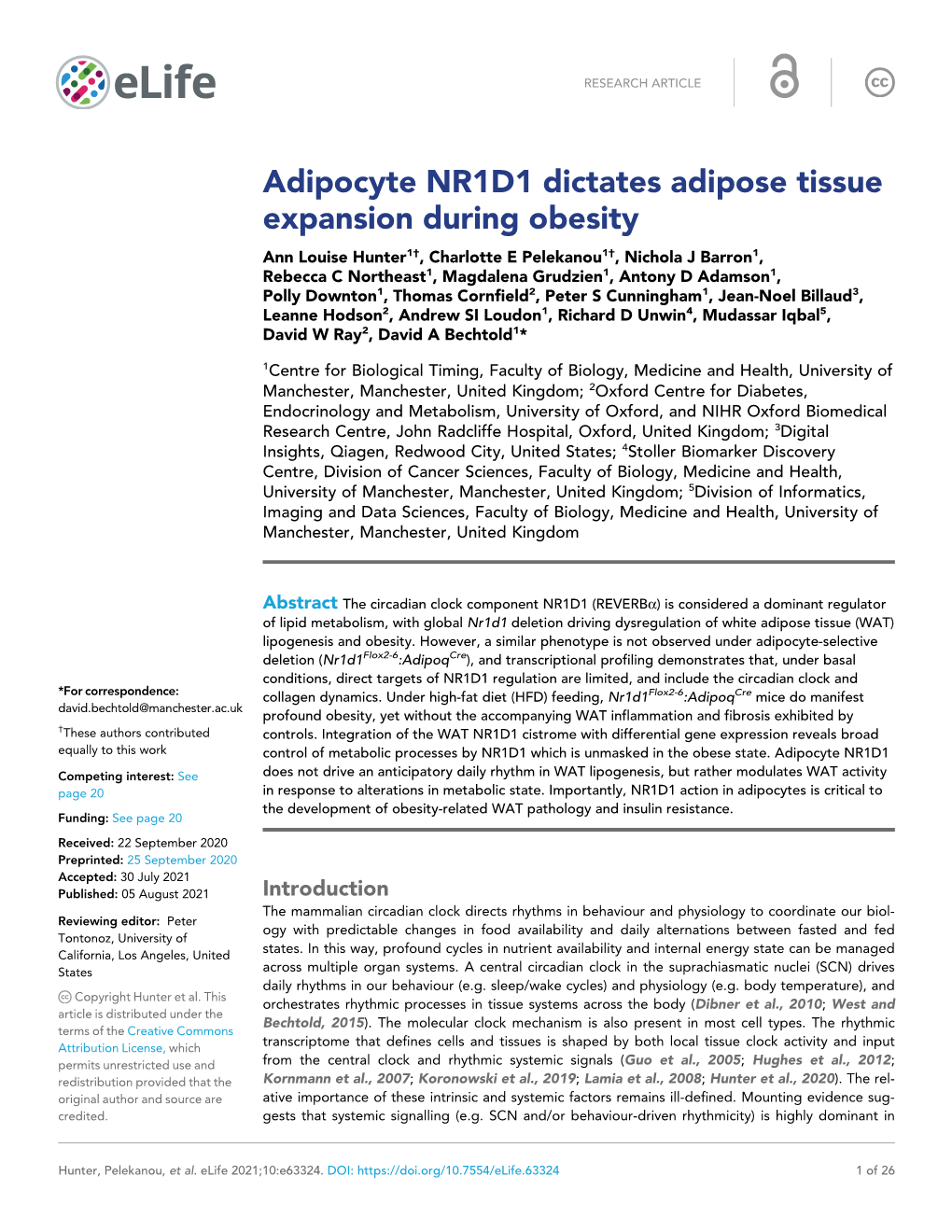 Adipocyte NR1D1 Dictates Adipose Tissue Expansion During Obesity