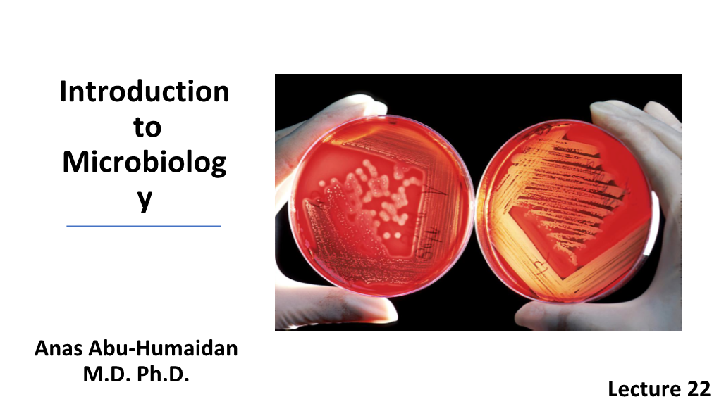 Common Sexually Transmitted Bacterial Disease