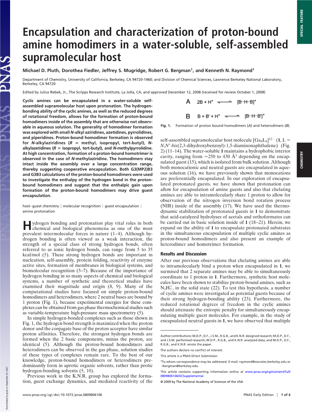 Encapsulation and Characterization of Proton-Bound Amine Homodimers In