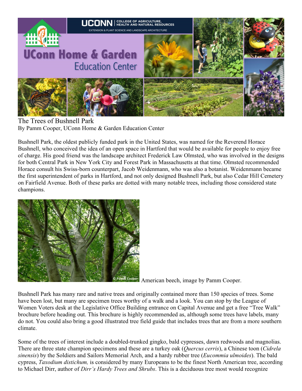 The Trees of Bushnell Park by Pamm Cooper, Uconn Home & Garden Education Center