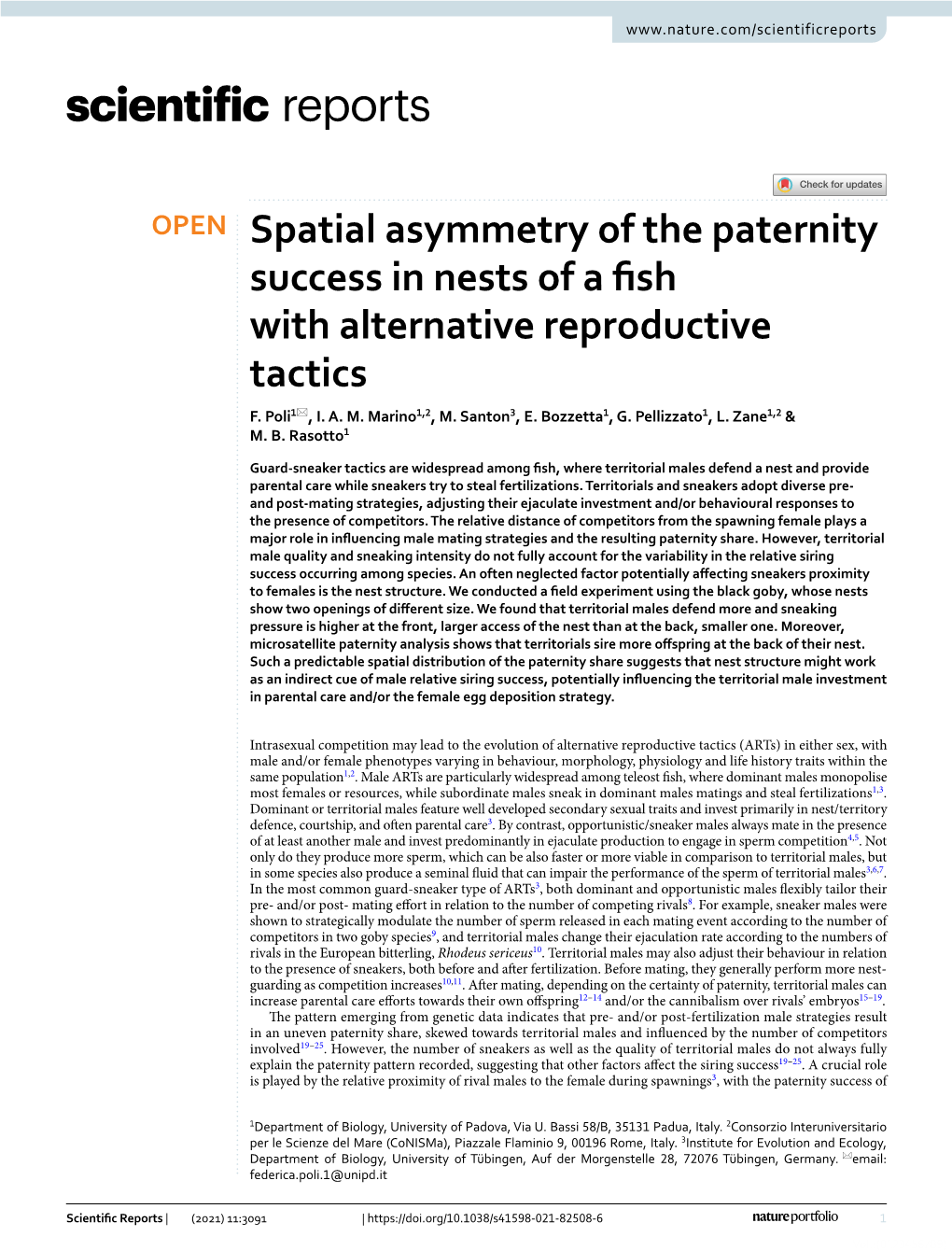Spatial Asymmetry of the Paternity Success in Nests of a Fish With