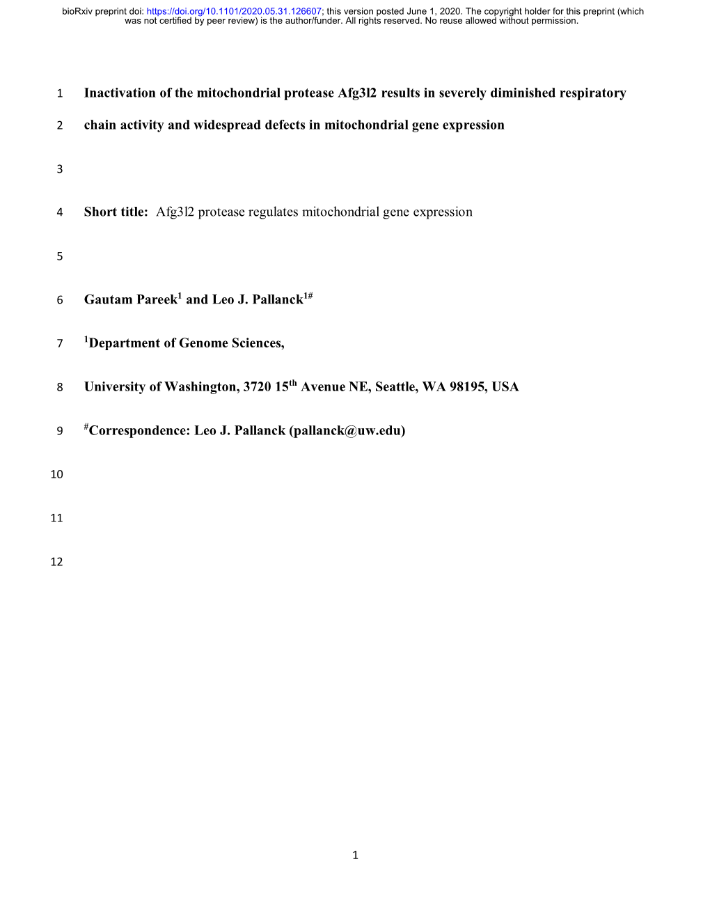 Inactivation of the Mitochondrial Protease Afg3l2 Results in Severely Diminished Respiratory