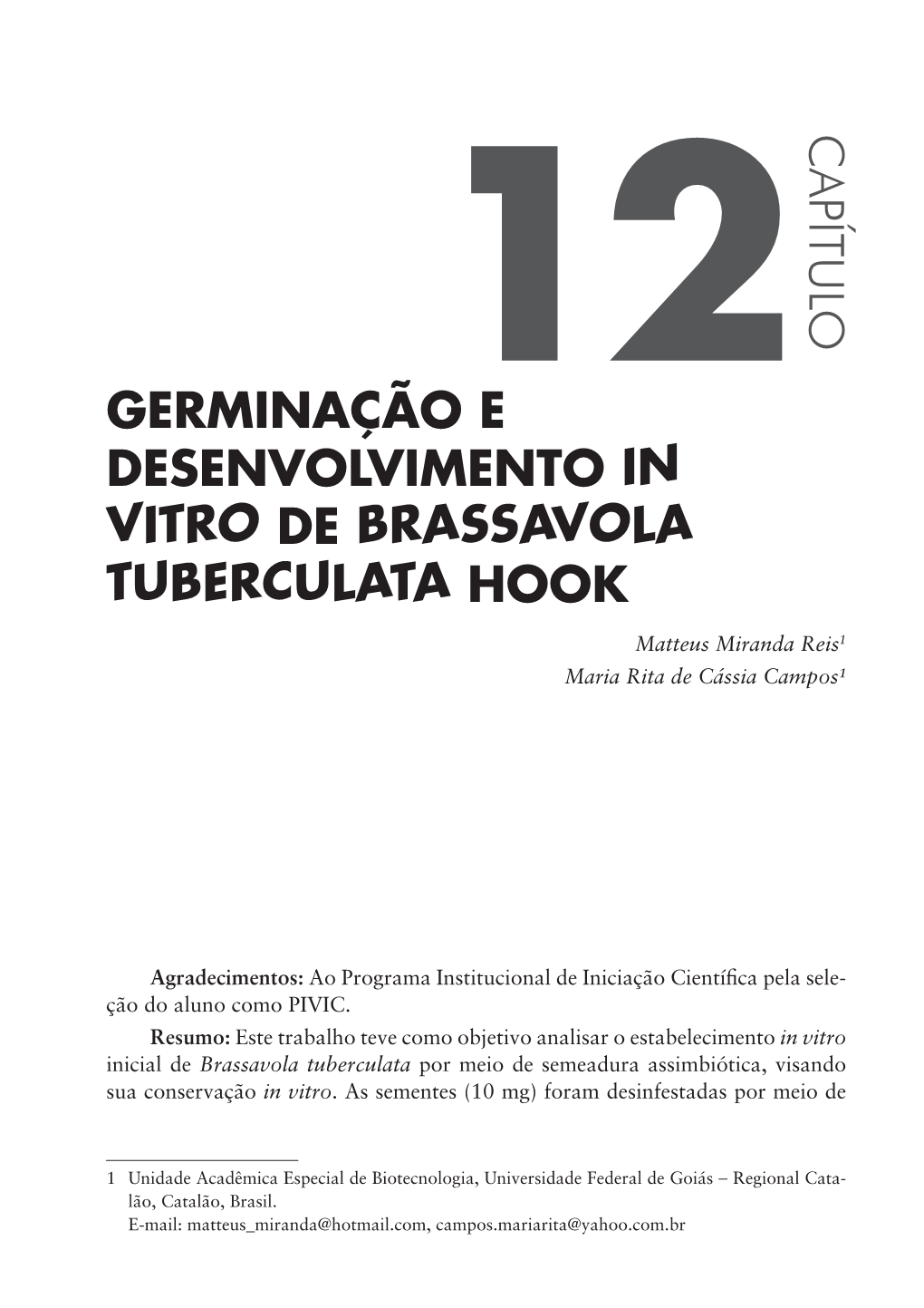 GERMINAÇÃO E DESENVOLVIMENTO in VITRO DE BRASSAVOLA TUBERCULATA HOOK Matteus Miranda Reis1 Maria Rita De Cássia Campos¹