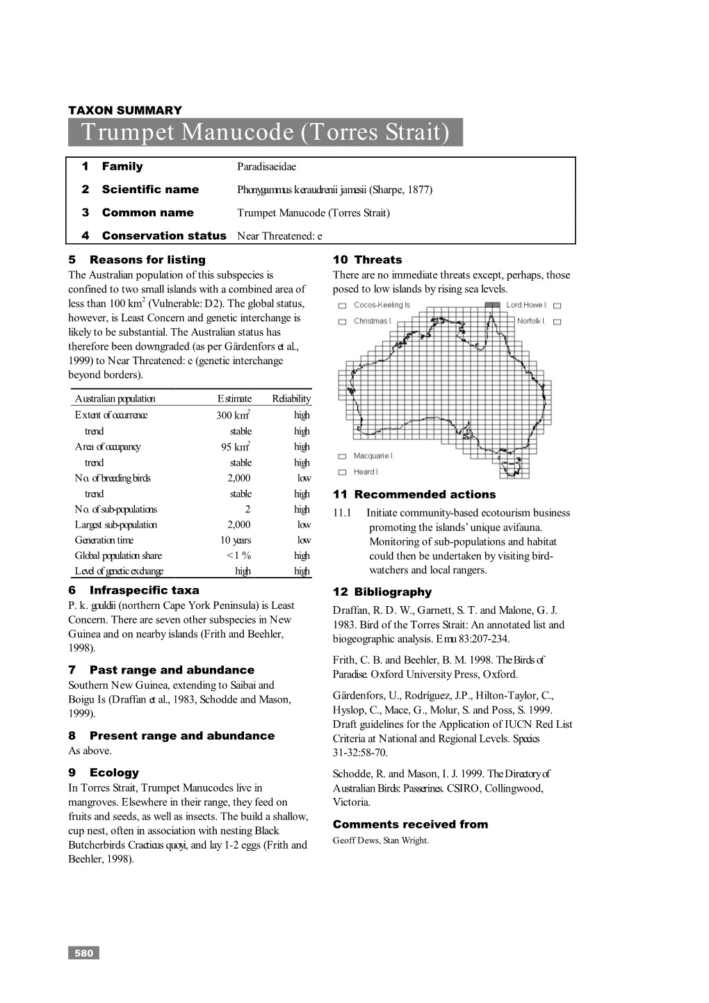 Trumpet Manucode (Torres Strait)